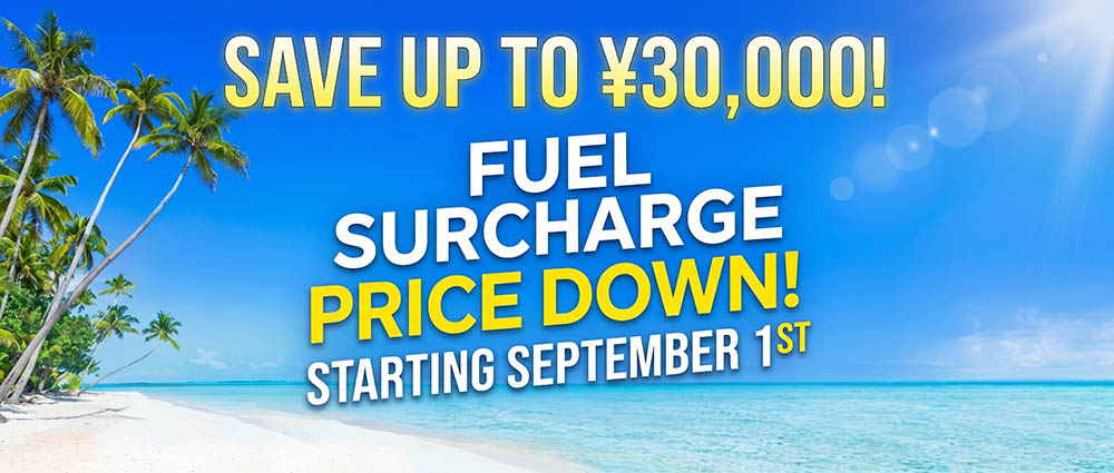 fuel surchargepricedown