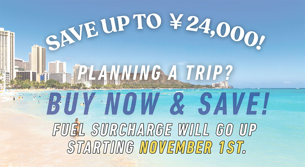 fuel surchargepricedown