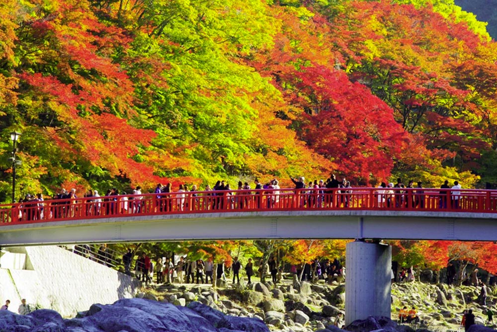 Across No1 Travel Packege Tour