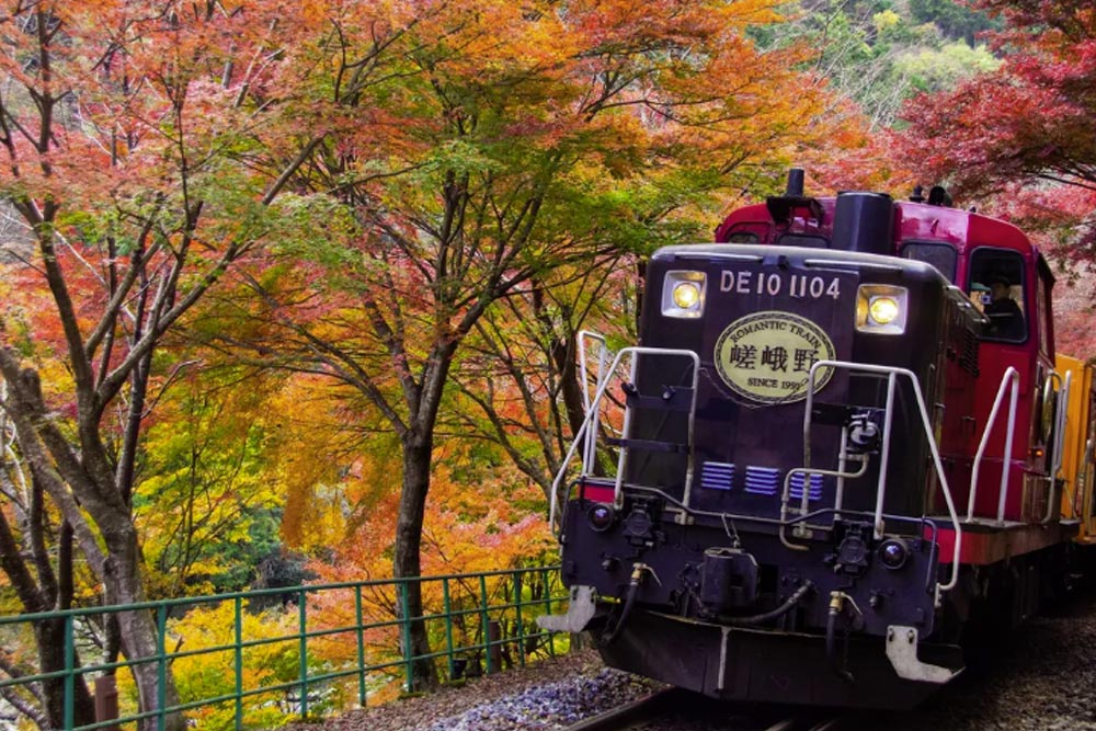 Across No1 Travel Packege Tour