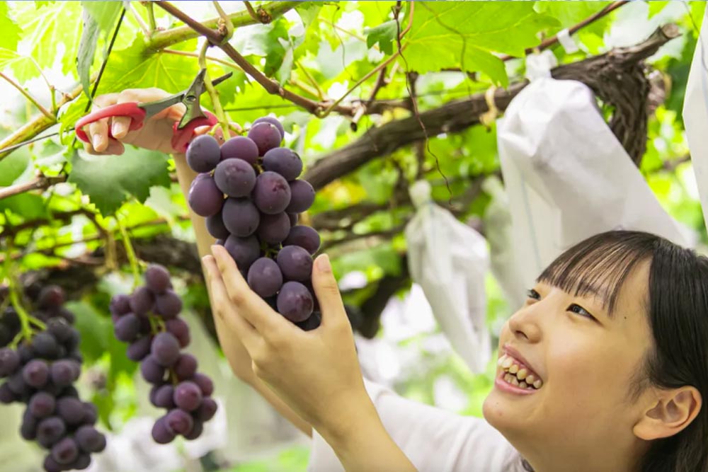 Across No1 Travel Packege Tour