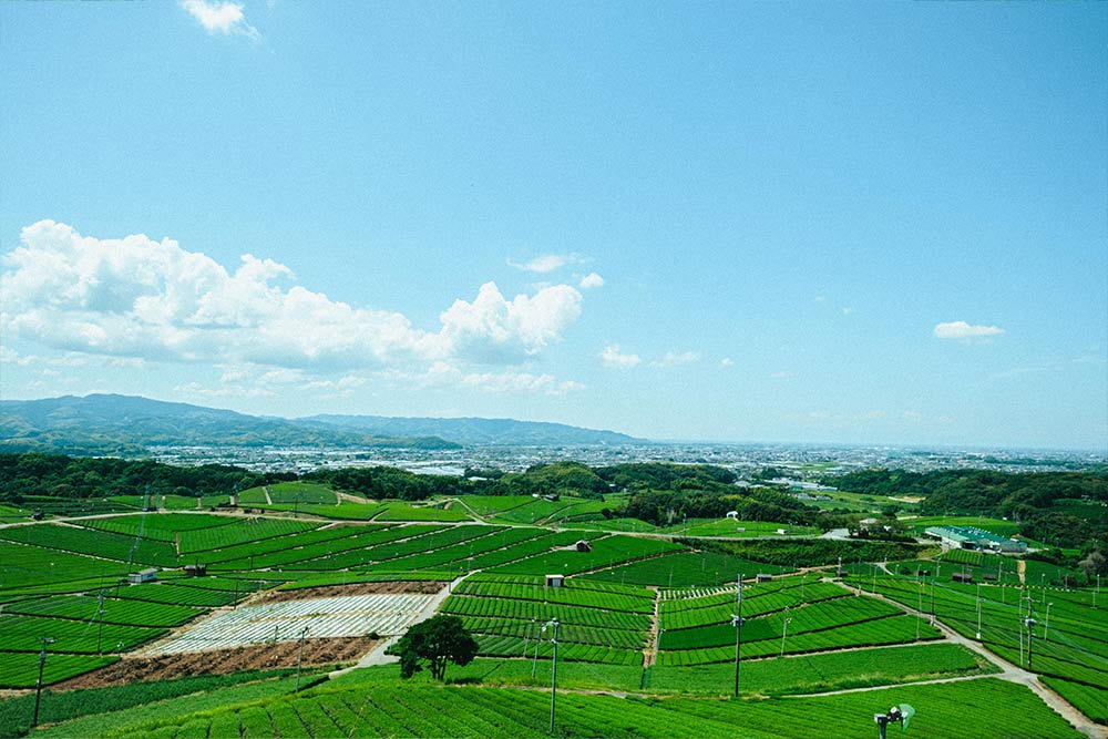 Across No1 Travel Packege Tour