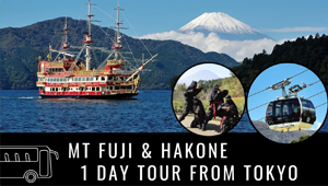 Mt. Fuji & Hakone 1 Day Tour