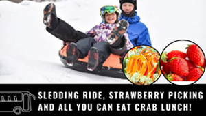 Sledding Ride, Strawberry Picking and All You Can Eat Crab Lunch!