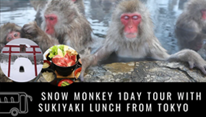 Snow Monkey 1 Day Tour with Sukiyaki Lunch from Tokyo