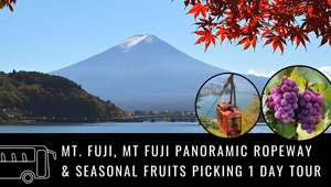 Mt. Fuji, Mt Fuji Panoramic Ropeway & Seasonal Fruits Picking