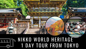 Nikko World Heritage 1 Day Tour