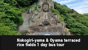 Domestic Bus Tour