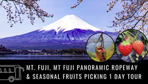 Mt. Fuji, Mt Fuji Panoramic Ropeway & Seasonal Fruits Picking