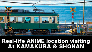 Domestic Bus Tour