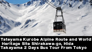 Domestic Bus Tour