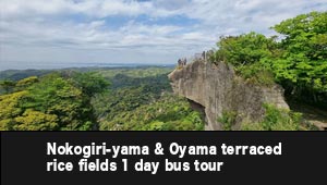 Domestic Bus Tour