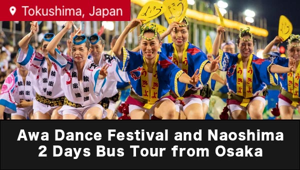 Domestic Bus Tour