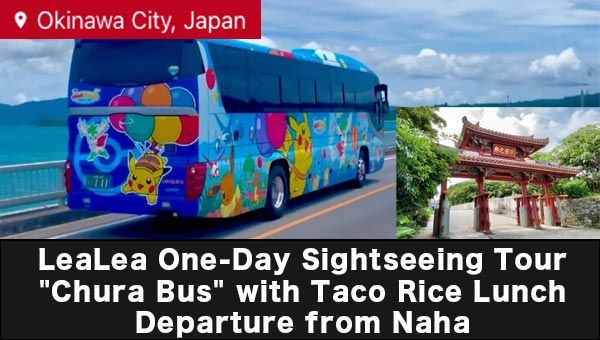Domestic Bus Tour