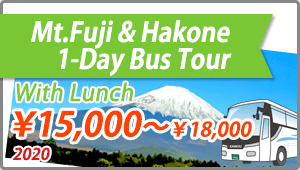 MtFuji Hakone 1day bus Tour