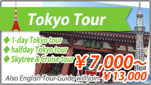 Domestic Tour Tokyo Tour