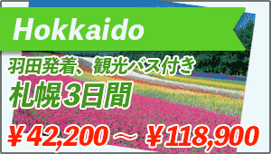 Hokkaido Tour From Haneda-Airport to Sapporo 3days