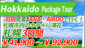 Hokkaido Tour From Haneda-Airport to Hokkaido 3 days