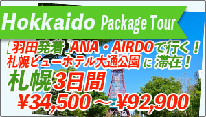 Hokkaido Tour From Haneda-Airport to Hokkaido 3 days