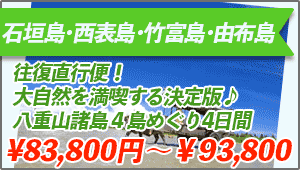Domestic Tour Okinawa