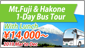 MtFuji Hakone 1day bus Tour