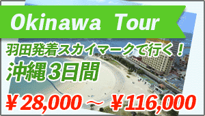 Okinawa Tour From Haneda-Airport to Okinawa 3days