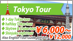 Domestic Tour Tokyo Tour