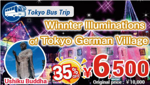 MtFuji Hakone 1day bus Tour