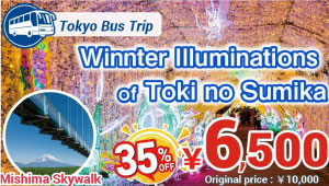 Domestic Tour Tokyo Tour