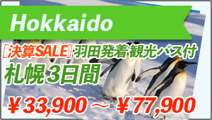 Hokkaido Tour From Haneda-Airport to Sapporo 3days