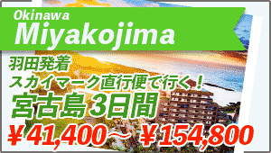 Miyakojima(Okinawa) Tour From Haneda-Airport to Miyakojima 3days